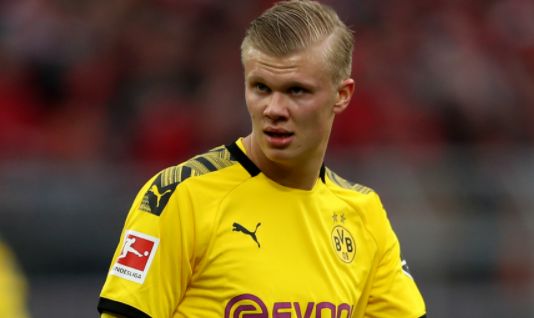 蚕食长期品 蚕食长期品