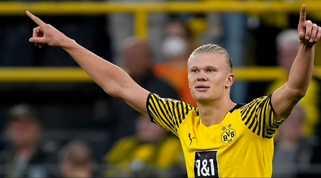 防线后的清 防线后的清