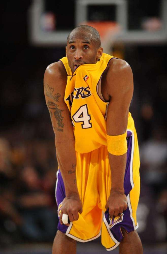 黄蜂短期内 黄蜂短期内