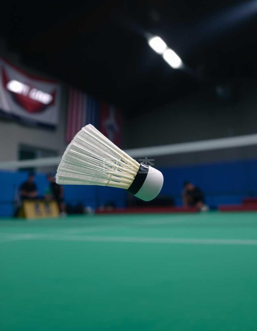 夏日嘉年华 夏日嘉年华